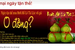 Kinh doanh bưởi hồ lô, quần áo, lồng chim... 'ăn theo' ngày tận thế