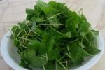 Các bài thuốc Đông y điều trị viêm gan hiệu quả