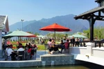 Dân công sở rủ nhau lên Sapa trốn nóng