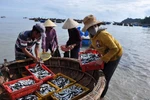 Hội Nghề cá muốn có "bản đồ" vùng biển được phép khai thác thủy, hải sản sạch