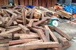 Thương lái Trung Quốc gom hết gỗ trắc ở chợ Đồng Kỵ