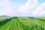 Bí quyết của những ha đất tiền tỷ
