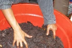 Phát hiện hàng tấn khô bò "chế" từ... lòng bò ở TP.HCM