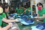 Doanh nghiệp nào đang phụ thuộc nhiều vào Trung Quốc?
