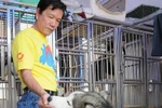 Chi tiền tỷ, dầm mình trong tuyết “săn” siêu khuyển Alaska