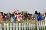 Chủ vườn hoa HN kiếm tiền triệu mỗi ngày từ thú vui của giới trẻ 
