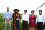 PCT Quốc hội Tòng Thị Phóng đánh giá cao mô hình trang trại bò sữa TH 