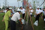 Vinamilk đồng hành cùng “Quỹ 1 triệu cây xanh cho Việt Nam”