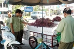 Xuất hiện nho Mỹ giá... 4.000 đồng/kg