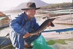 Doanh nhân “tử tù” Hải Robert, người lữ hành kỳ dị