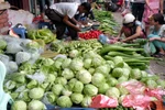 Đi 3km vào nội thành, rau xanh đội giá gấp chục lần