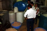 1,5 tấn mỡ heo bốc mùi suýt được chế biến thành... lạp xưởng