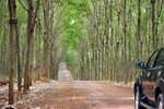 Bầu Đức và HAGL giúp Attapeu cất cánh