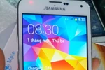 Nhan nhản Samsung Galaxy S5 nhái "như thật" 