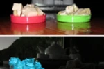 Giò lụa phát sáng bất thường trong đêm