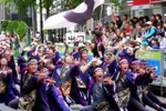 Độc đáo lễ hội Hanami đầu tiên tại Asia Park