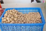  Quá sợ nguyên liệu tạp nham và hóa chất "chế" món bò viên