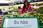 Rau xanh tại hàng loạt siêu thị lớn mập mờ nguồn gốc