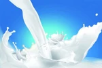 Sữa tiệt trùng sẽ có tên gọi mới