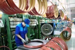 Hà Nội: Sắp phá sản, sáp nhập 11 doanh nghiệp