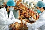 Cảnh báo 3 chủng virus cúm nguy hiểm tại Việt Nam