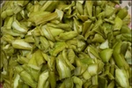 Tác dụng chữa sởi, cảm sốt từ dọc mùng