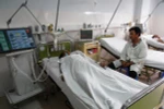 Hôn mê sâu vì ăn ốc hương, ốc lá hẹ 