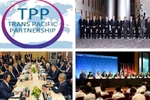 Những mặt hàng nào hưởng thuế suất 0% ngay khi TPP có hiệu lực?