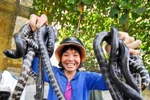 Những nghề kiếm tiền rùng rợn ở miền Tây