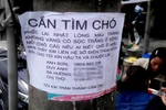 Nhà giàu Hà Nội chi 50 triệu tìm... chó lạc