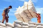 Trung Quốc cấm nhập khẩu gạo từ Việt Nam