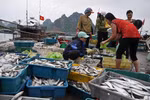 4 ngân hàng được chỉ định cho vay thu mua tạm trữ hải sản miền Trung
