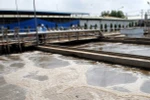 Bộ Công Thương hỏa tốc lập đoàn công tác đến Formosa sau vụ cá chết
