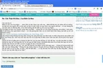 DN điêu đứng vì thông tin "vô thưởng vô phạt" trên webtretho?