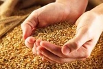 Áp mã thuế sai, làm thất thoát hàng nghìn tỷ đồng