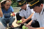 10 ngày qua, hoa quả Trung Quốc không nhập vào Lạng Sơn