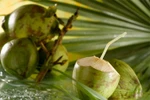 Quả dừa: Bổ nên dễ gây nguy hiểm