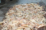 Chế biến bì lợn thối thành đặc sản bằng hóa chất cực độc
