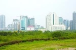 Tỉnh nào “vô địch” về sai phạm đất đai?