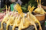 Bất chấp cảnh báo dịch, thịt gia cầm vẫn tăng giá, đắt hàng