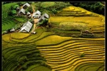 Chuyên gia "soi" slogan ngành du lịch Việt
