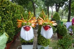 Hoa kiểng "độc" Sài thành 