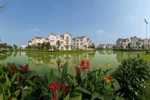 Vingroup tiếp tục giành giải "Nhà phát triển BĐS tốt nhất Việt Nam"