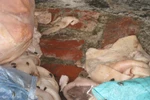 Hãi hùng 13 tấn lòng, bì lợn phân hủy, bốc mùi mang đi tiêu thụ