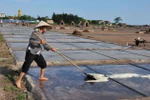 Những hình ảnh về diêm dân làm muối dưới cái nắng bỏng rát của mùa hè