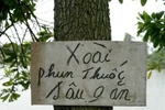 Phì cười hình ảnh "cực độc" của độc giả sưu tầm chỉ có ở Việt Nam (P7)
