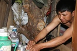 Sững sờ trước hình ảnh khu 'ổ chuột' giữa lòng Hà Nội