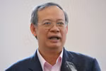 TS Đinh Xuân Thảo: Xem lại phát biểu của Bộ trưởng Đinh La Thăng