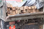 Bắt xe có gắn biển số màu đỏ chở gỗ lậu