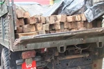 Bắt xe có gắn biển số màu đỏ chở gỗ lậu